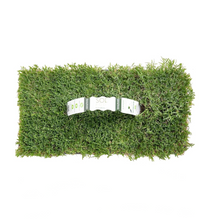 Load image into Gallery viewer, SodPods® Bermuda Grass Plugs