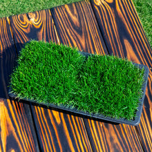 Load image into Gallery viewer, SodPods® Bluegrass MEGA Grass Plugs