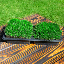 Load image into Gallery viewer, SodPods® Bluegrass MEGA Grass Plugs