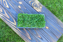 Load image into Gallery viewer, SodPods®  St. Augustine Palmetto® MEGA Grass Plugs