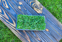 Load image into Gallery viewer, SodPods® St. Augustine Floratam MEGA Grass Plugs.