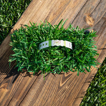 Load image into Gallery viewer, SodPods® St. Augustine Floratam Grass Plugs with Power Planter Auger