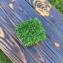 Load image into Gallery viewer, Palmetto® MEGA Grass Plugs