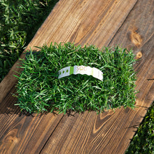 Load image into Gallery viewer, SodPods® Centipede Grass Plugs with Power Planter Auger
