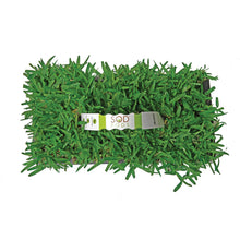 Load image into Gallery viewer, SodPods®  St. Augustine Seville Grass Plugs