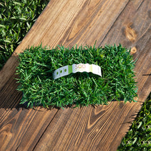 Load image into Gallery viewer, SodPods® Zoysia Grass Plugs with Power Planter Auger
