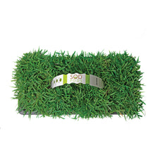 Load image into Gallery viewer, SodPods® Zoysia Grass Plugs