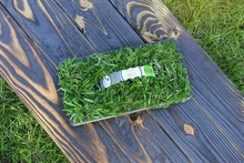 Load image into Gallery viewer, SodPods® St. Augustine Scotts® ProVista™ Grass Plugs with NutriPod® Plant Food