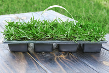Load image into Gallery viewer, SodPods® St. Augustine Scotts® ProVista™ Grass Plugs