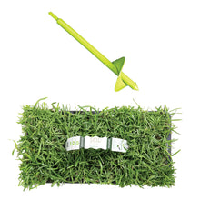 Load image into Gallery viewer, SodPods® Centipede Grass Plugs with Power Planter Auger and NutriPod® Plant Food