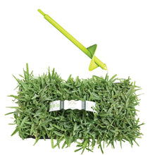 Load image into Gallery viewer, SodPods® St. Augustine Floratam Grass Plugs with Power Planter Auger