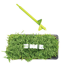 Load image into Gallery viewer, SodPods® St. Augustine Seville Grass Plugs with Power Planter Auger