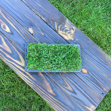Load image into Gallery viewer, St. Augustine Palmetto® MEGA Grass Plugs