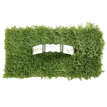 Load image into Gallery viewer, SodPods®  Bermuda Grass Plugs