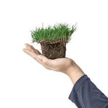 Load image into Gallery viewer, SodPods® Bermuda Grass Plugs.