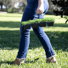 Load image into Gallery viewer, SodPods® Bermuda Grass Plugs.