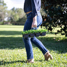 Load image into Gallery viewer, SodPods® St. Augustine Palmetto® Grass Plugs.