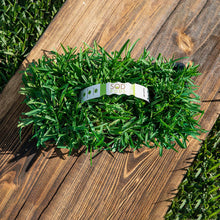 Load image into Gallery viewer, SodPods® St. Augustine Floratam Grass Plugs.