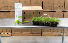 Load image into Gallery viewer, SodPods® St. Augustine Floratam Grass Plugs with Power Planter Auger