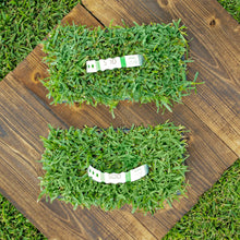 Load image into Gallery viewer, SodPod Sun & Shade Trays