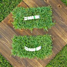 Load image into Gallery viewer, SodPods® St. Augustine Sun & Shade Pack: CitraBlue® & Floratam Grass Plugs.