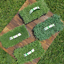 Load image into Gallery viewer, SodPods® Variety Pack: St. Augustine Palmetto® & Floratam, Bermuda and Zoysia Grass Plugs.