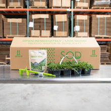 Load image into Gallery viewer, SodPods® Centipede Grass Plugs with Power Planter Auger and NutriPod® Plant Food