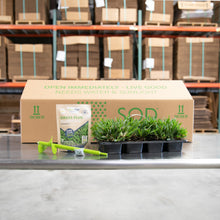 Load image into Gallery viewer, SodPods® St. Augustine Seville Grass Plugs with Power Planter Auger and NutriPod® Plant Food