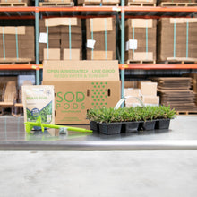 Load image into Gallery viewer, SodPods® Bermuda Grass Plugs with Power Planter Auger and NutriPod® Plant Food