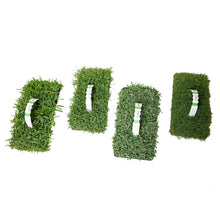 Load image into Gallery viewer, SodPods® Variety Pack: St. Augustine Palmetto® & Floratam, Bermuda and Zoysia Grass Plugs.