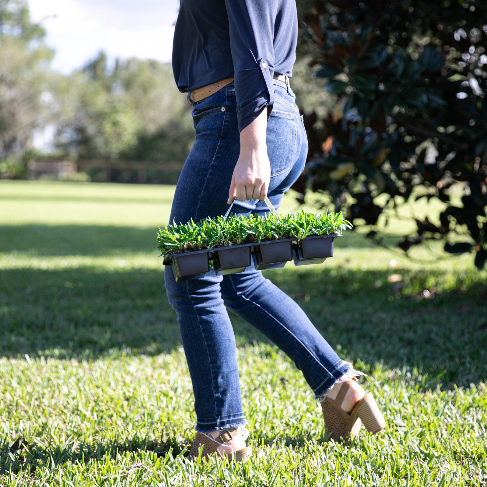 Achieve a vibrant lawn with grass plug maintenance hacks from SodPods. Learn to transform your outdoor space with ease and efficiency. 