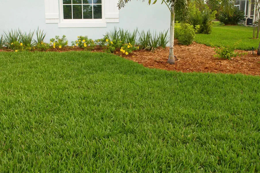 How to Fix Patchy Grass and Bare Spots in Your Lawn