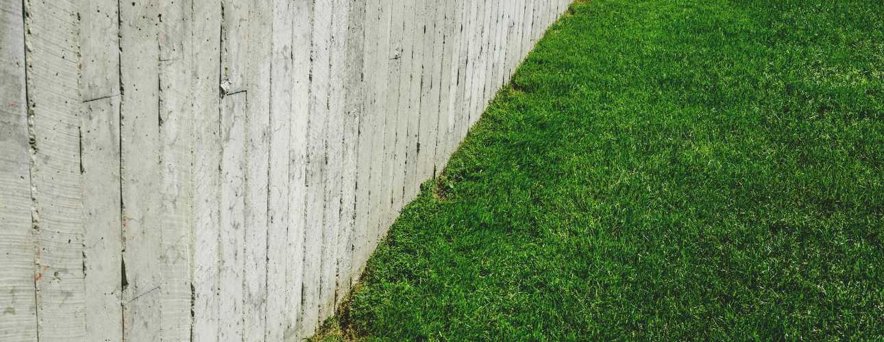 A wooden wall with luscious green grass.