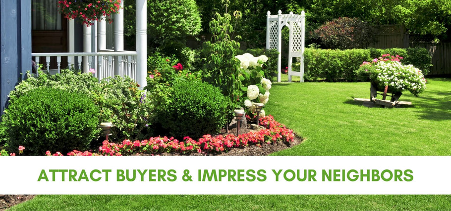 The Power of Curb Appeal: Attract Buyers and Impress Your Neighbors