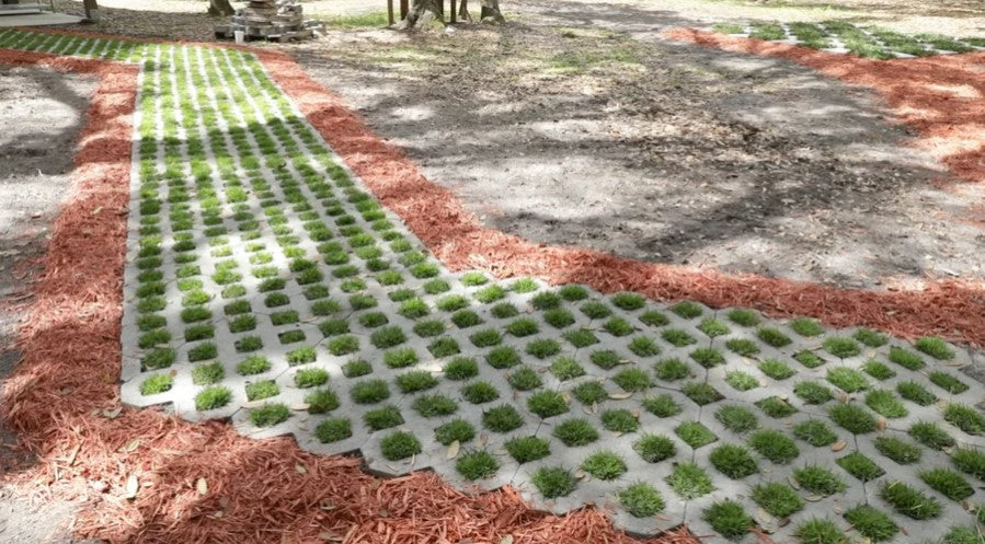 Create a Green Walkway