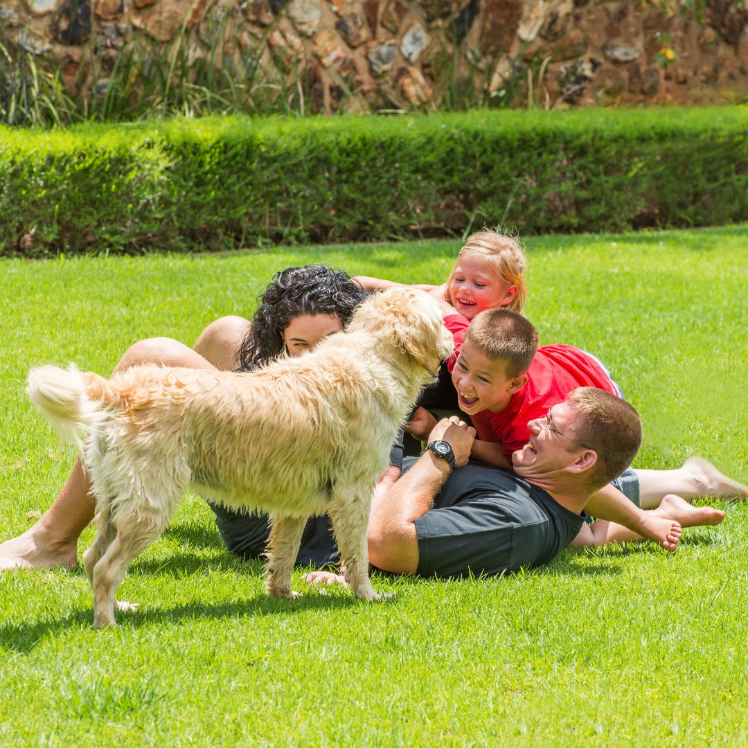 Creating memories in a kid friendly lawn with SodPods