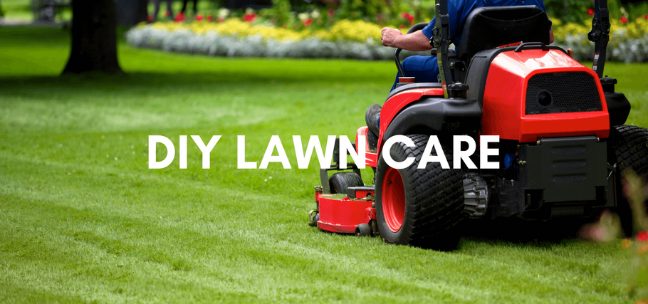 Budget-Friendly DIY Lawn Care: A Beginner's Approach