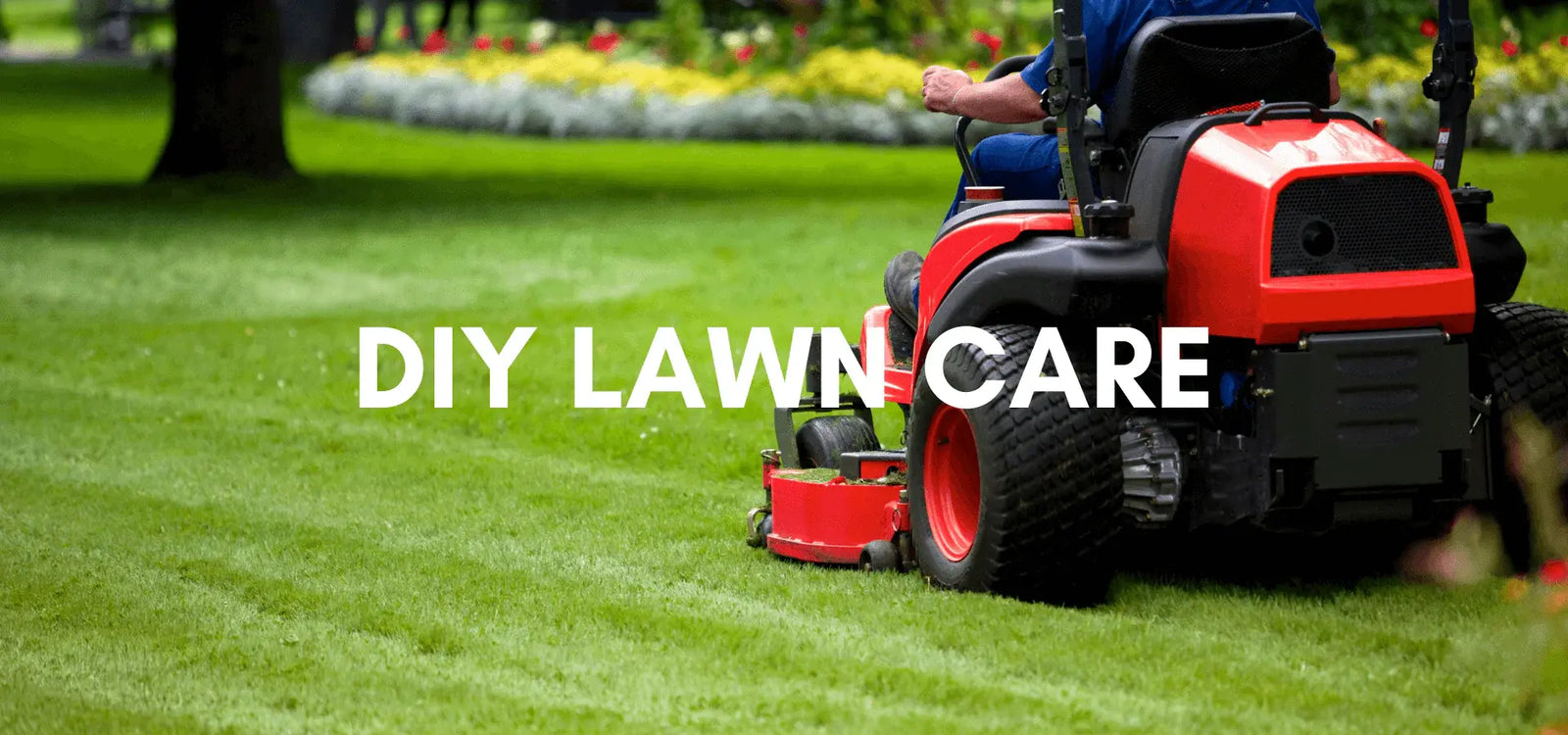 DIY Lawn Care