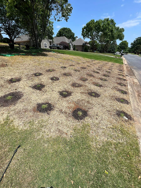 Using Grass Repair Pods for Patchy Lawns