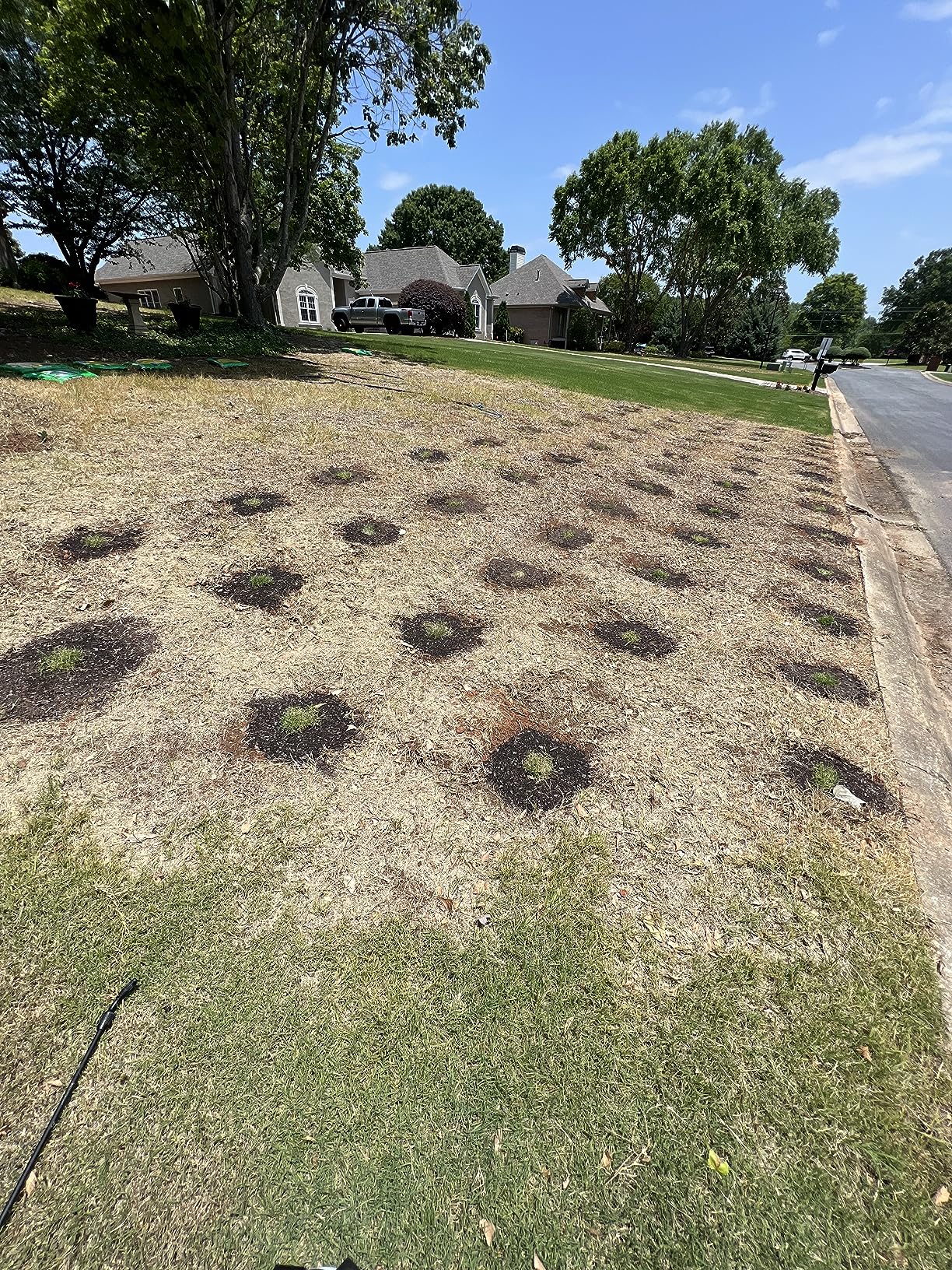 Installation of SodPods grass repair pods