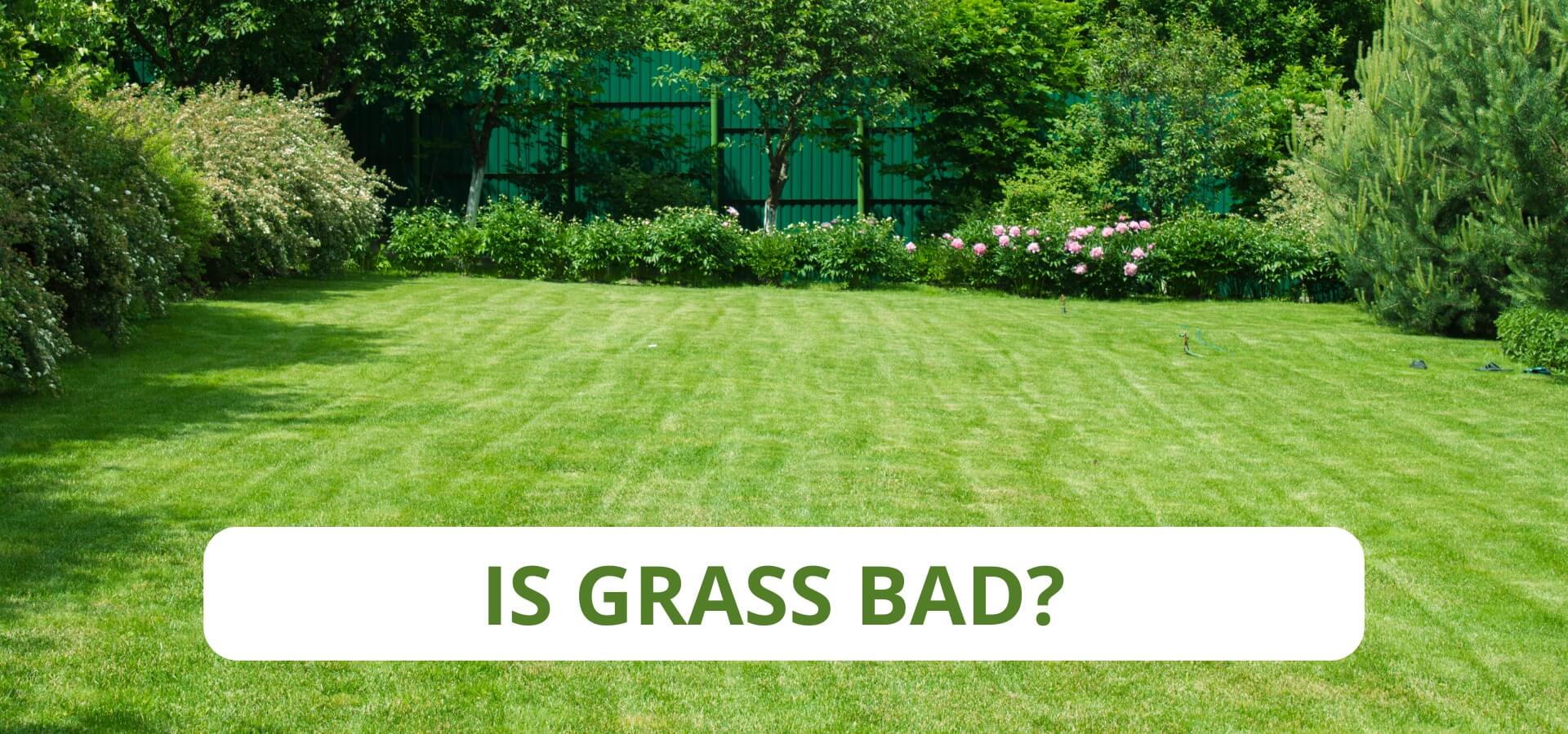 Is Grass Bad? Environmental Impact of Lawns SodPods®