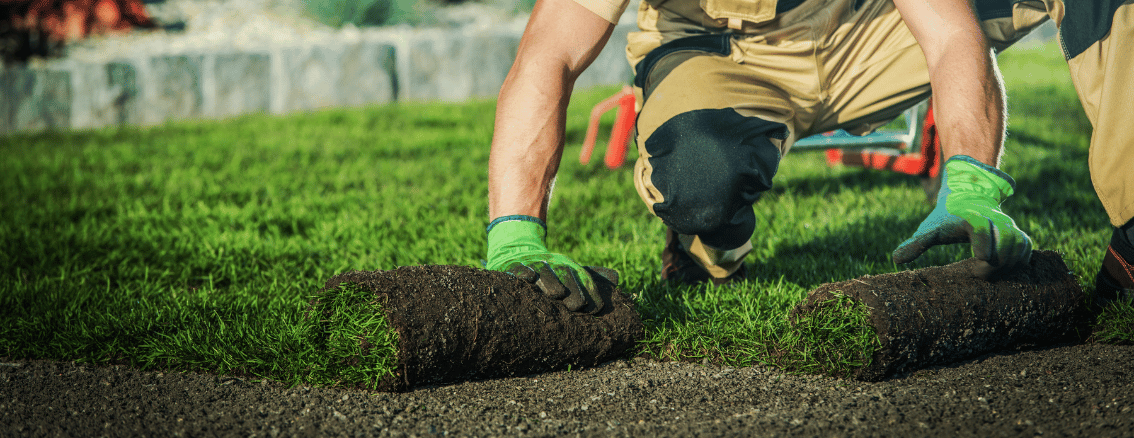 Landscaping Trends In 2023