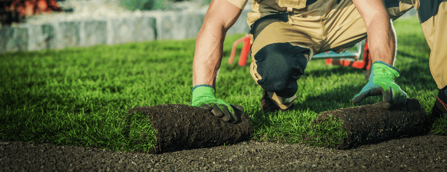 10 Landscaping Trends In 2023
