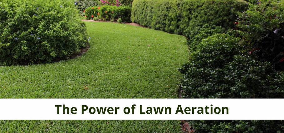 Grass Maintenance: Achieving an Emerald Green Lawn through Aeration