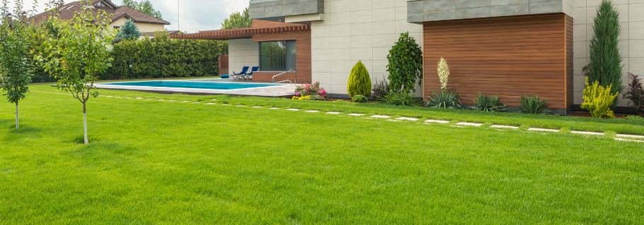 The Resilience of Warm Season Grasses