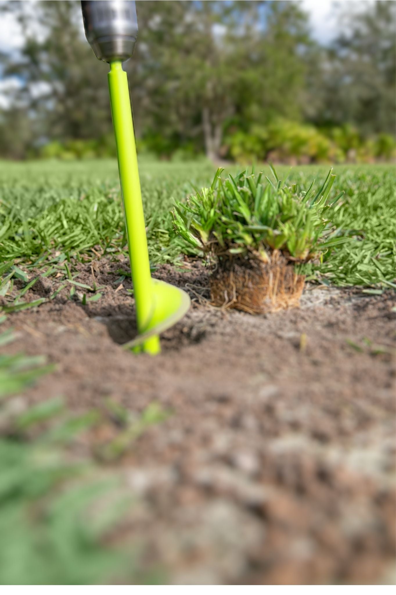 Essential Plug Tools for Every DIY Garden