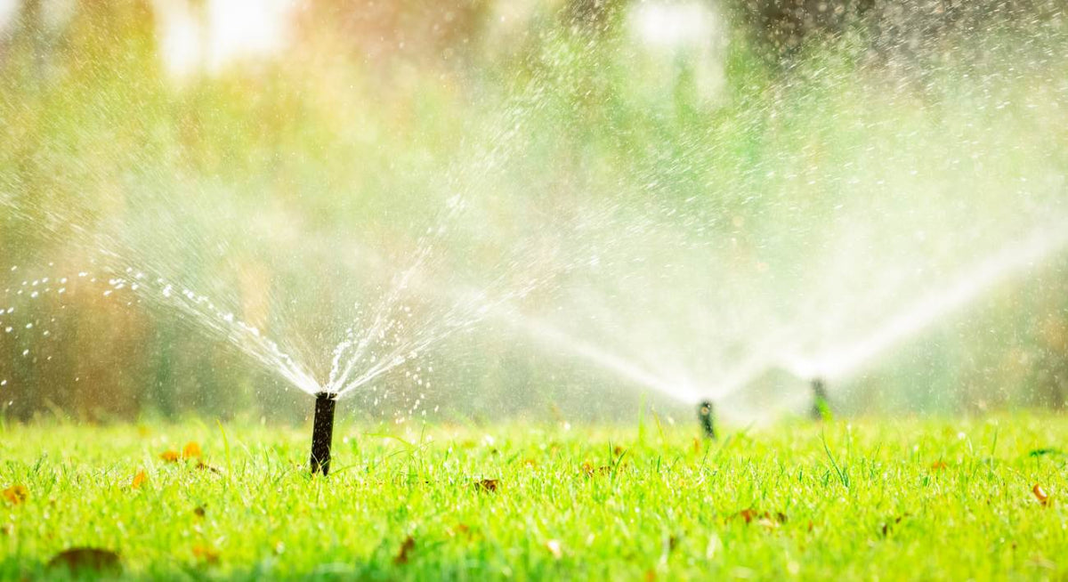 How Long to Run Sprinklers