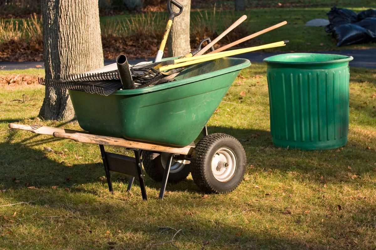 SodPods After-Holidays Lawn Cleanup