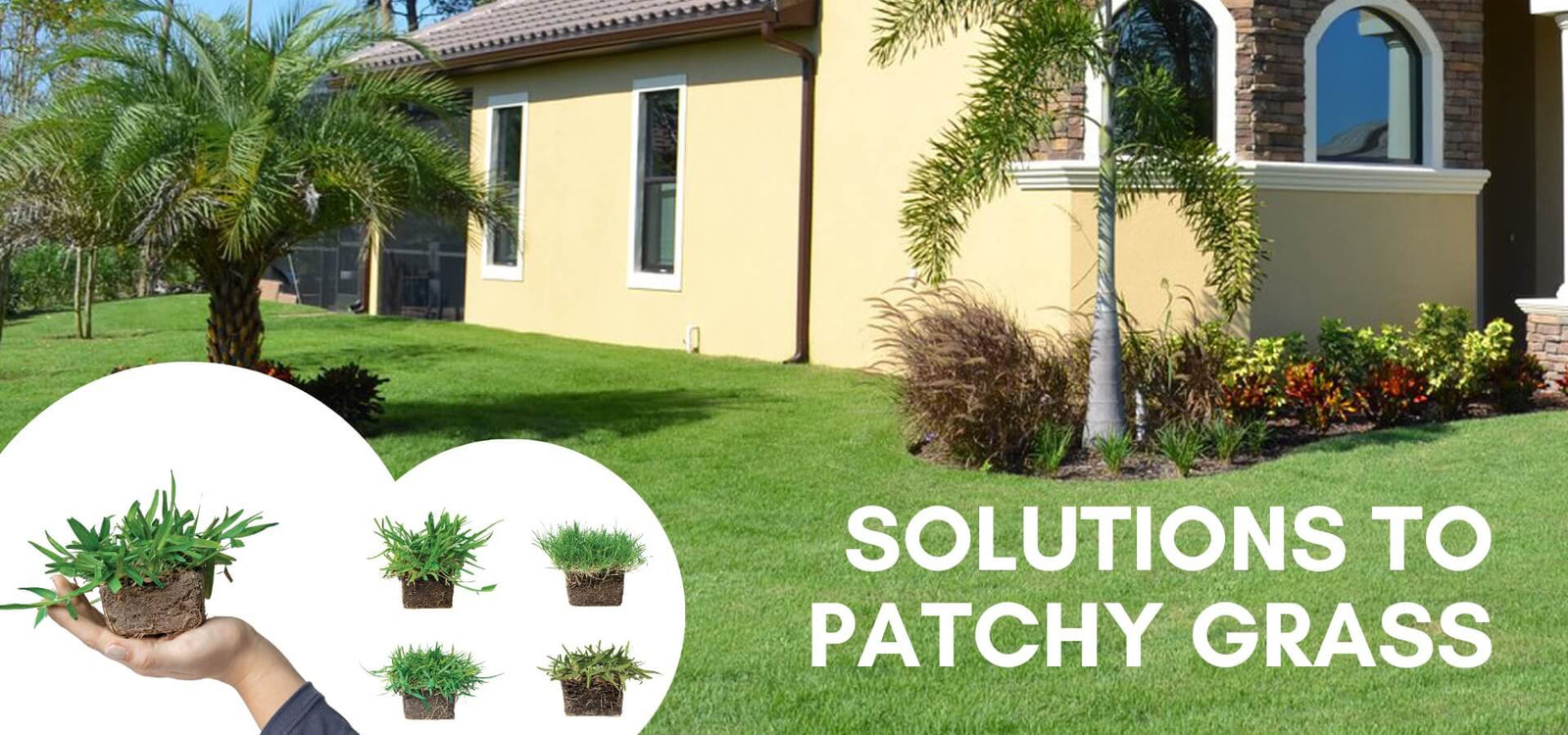 Fixing Patchy Grass