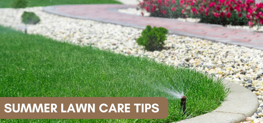 Summer Lawn Care Tips to Avoid the Top 10 Grass Mistakes